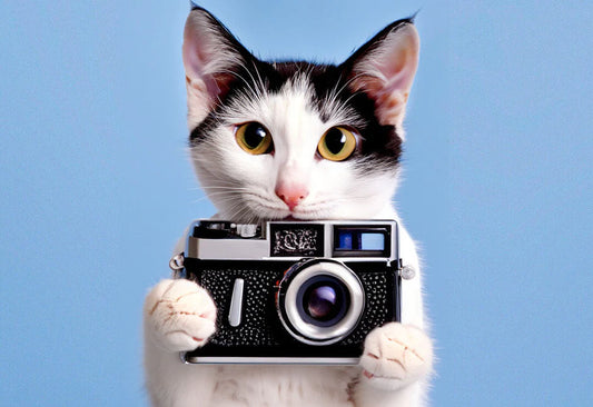 2023年 ペット写真撮影の購入ガイド | 選び方は？