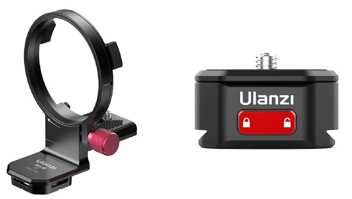 OZWRT Wire コラボ ssサイズ 台座セット PachypodiuMan 【公式通販】